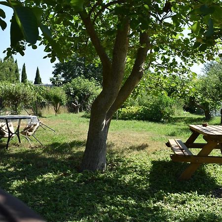Mobil-Home Sur Terrain Bucolique Hyères Exteriér fotografie
